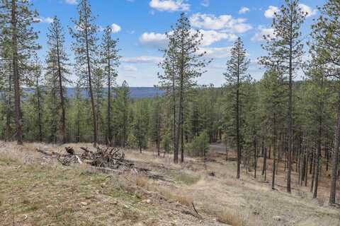 Nka Lower Weaver Way, Deer Park, WA 99006