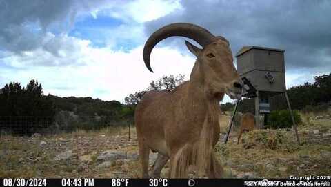 Tbd SD 45650, Rocksprings, TX 78880