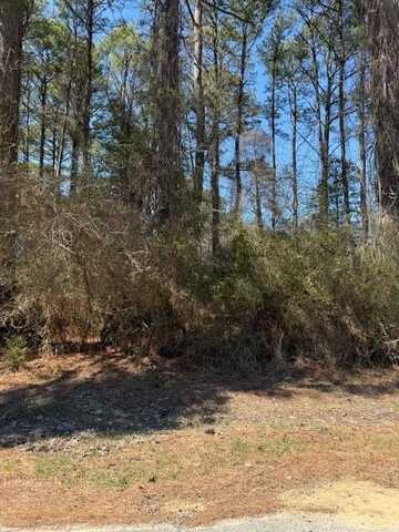 1102 AMIDSHIP DR, GREENBACKVILLE, VA 23356