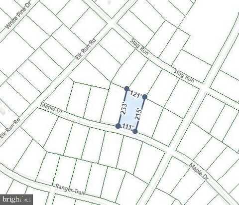 206 MAPLE DRIVE, POCONO LAKE, PA 18347