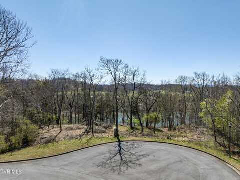 1076 Biltmore Place, Piney Flats, TN 37686