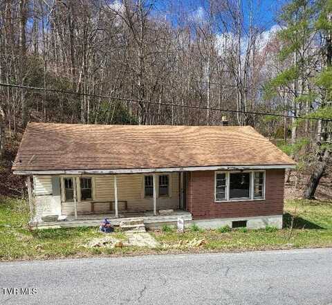 634 Tiger Creek, Roan Mountain, TN 37687