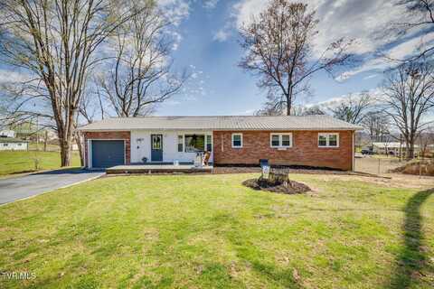 424 Mimosa Street, Mount Carmel, TN 37645