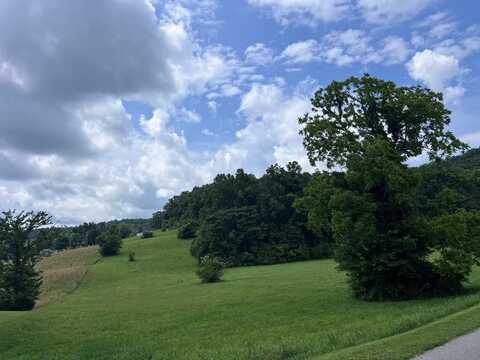 Lot 121 Dogleg Dr, LIVINGSTON, TN 38570