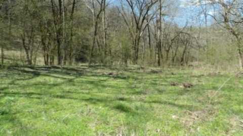 Lots 1&6 Baugh Hollow Rd, GAINESBORO, TN 38562