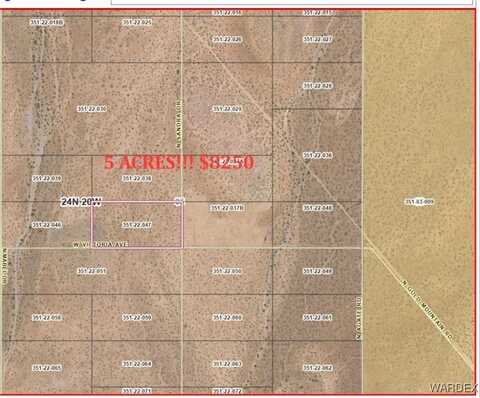 351-22-047 VICTORIA, Dolan Springs, AZ 86441