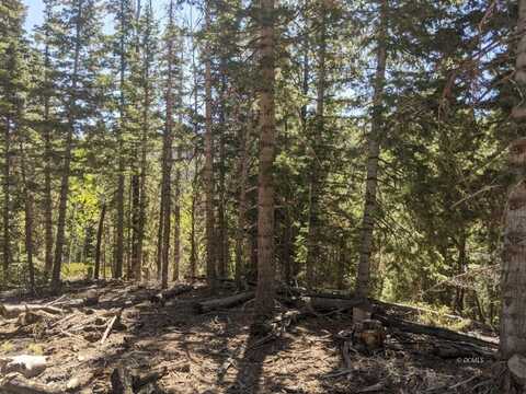 26 Bonnie Green, Duck Creek Village, UT 84762