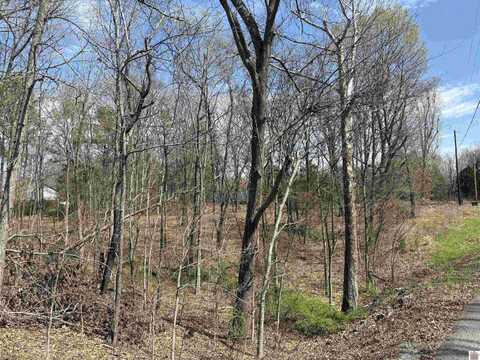 Lots 18 & 19 Sunshine Ac Rd & Clayshire, Benton, KY 42025