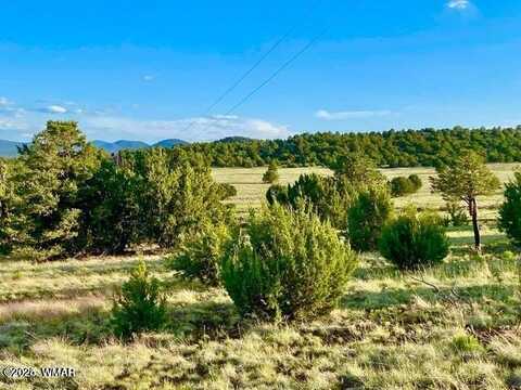 Tbd N3208 Lots C & D 19.62 Acres, Vernon, AZ 85940