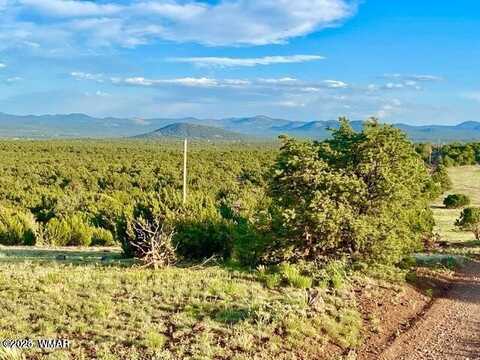 Tbd N3208 Lots C & D 19.62 Acres, Vernon, AZ 85940