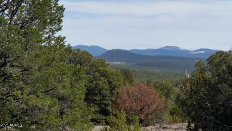Lot 20 Mountain Pine Road, Vernon, AZ 85940