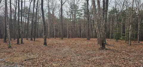 1147 Woods Rd Road, Dunlap, TN 37327