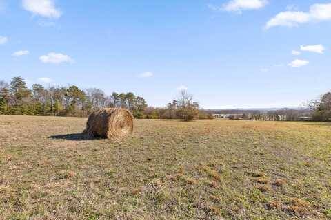 000 Blue Sky Drive, Dayton, TN 37321