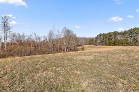 000 Blue Sky Drive, Dayton, TN 37321