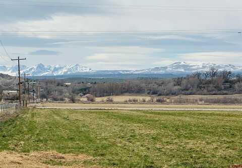 TBD Orange Road, Montrose, CO 81403