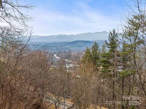 999 Secluded Forest Drive unit: 11, Asheville, NC 28804