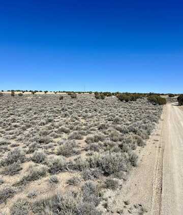 Lee Avenue, Spring Creek, NV 89815