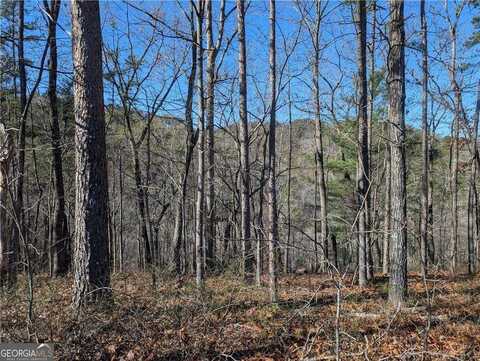 1400 Foxhound, Ranger, GA 30734