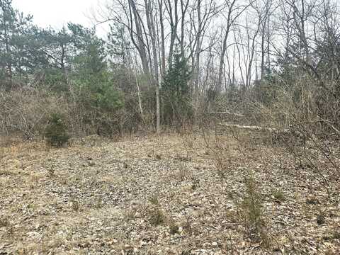 14th Avenue, South Haven, MI 49090