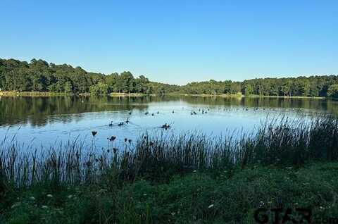 214 Private Road 8693, Winnsboro, TX 75494