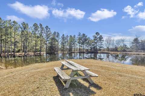 16765 County Road 46, Tyler, TX 75704