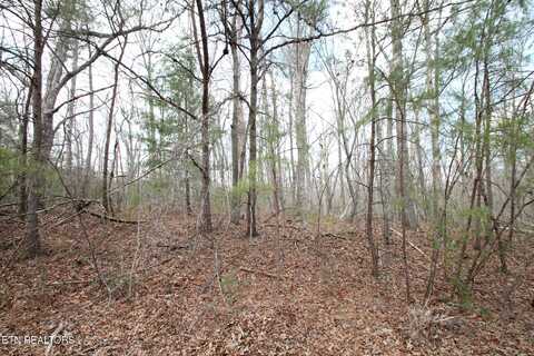 142 Windcrest Rd, Fairfield Glade, TN 38558