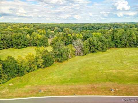 Hidden Oaks Avenue lot: 18, Pike Road, AL 36064