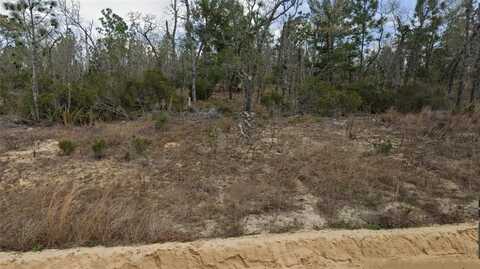 Lot 33 TWIN LAKES BLVD, INTERLACHEN, FL 32148