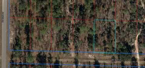 Tbd NE 16TH LANE, WILLISTON, FL 32696