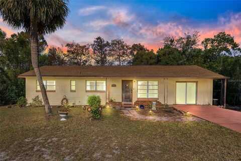 11451 PALA VERDA AVENUE, LEESBURG, FL 34788