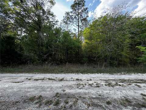 NE 155TH TERRACE, WILLISTON, FL 32696