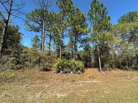 833 W CHAMPLAIN LANE, CITRUS SPRINGS, FL 34434