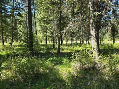 NH Fairview Drive, Saint Regis, MT 59866