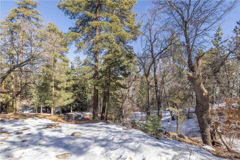 0 Pigeon Road, Big Bear Lake, CA 92315