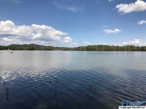115 County Road 714, Cedar Bluff, AL 35959
