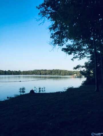 115 County Road 714, Cedar Bluff, AL 35959