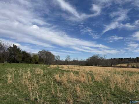 39 Acres County Road 71, Lexington, AL 35648
