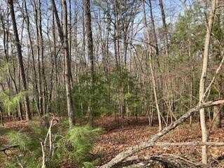 Lt 1032 Eagle Court, Ellijay, GA 30540