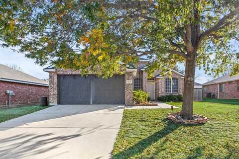 1425 Eufemia Drive, Denton, TX 76207