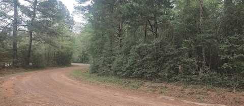 Tbd County Road 165, Long Branch, TX 75669