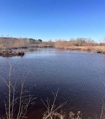 13233 County Road 3801, Athens, TX 75752