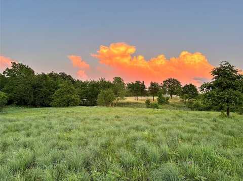 9025 Valley Oak Court, Springtown, TX 76082