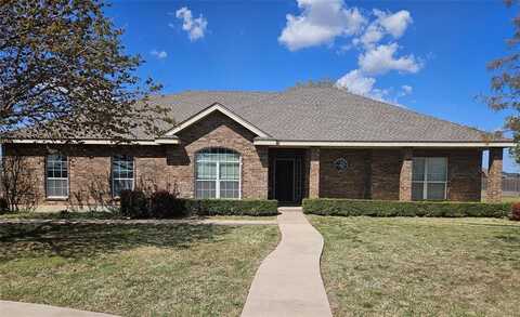 234 Tweetie Pie Lane, Abilene, TX 79602