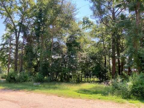 262 E Walnut Trail, Murchison, TX 75778