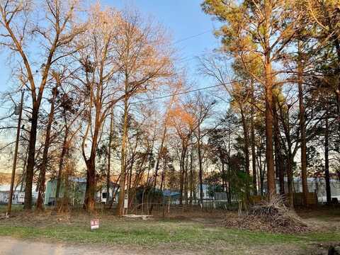 262 E Walnut Trail, Murchison, TX 75778