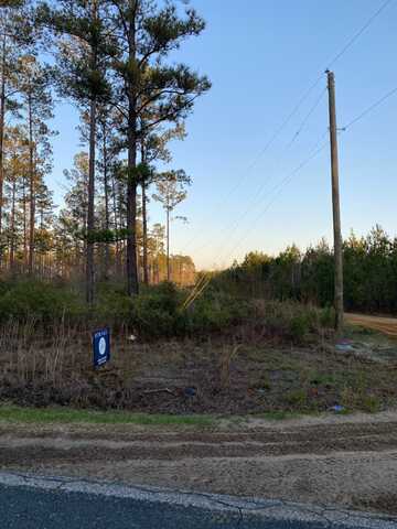 TBD Possum Corner Rd, Early Branch, SC 29916