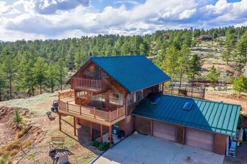 1084 Circle Dr, Florissant, CO 80816