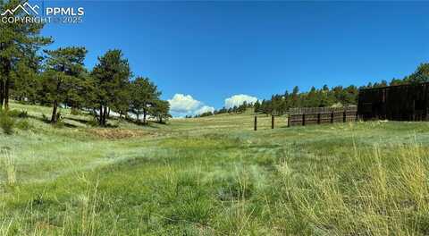 Highway 9, Hartsel, CO 80449