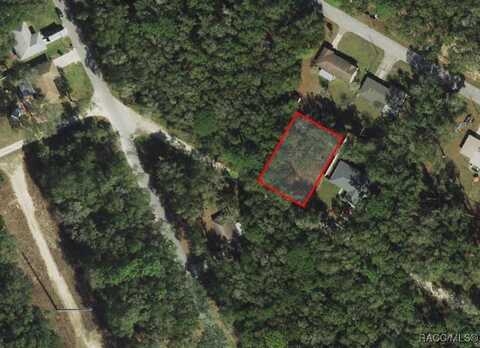 3397 E Alex Place, Inverness, FL 34453