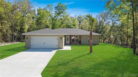 8639 N collarette Way, Citrus Springs, FL 34434